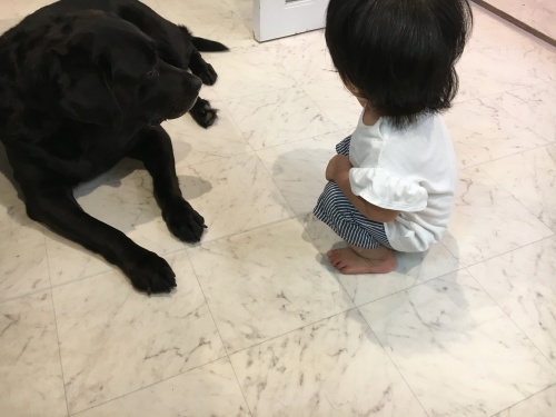 f0347891_23562199.jpeg