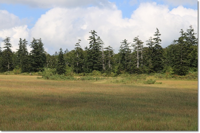 f0146493_20240592.jpg