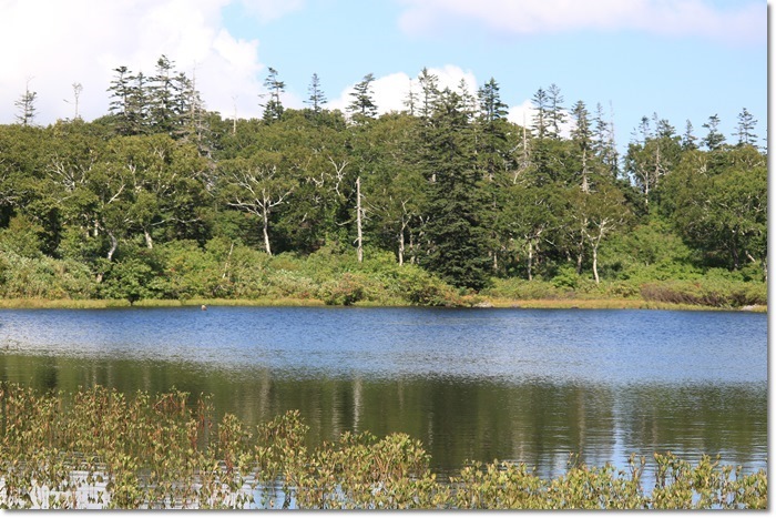 f0146493_20242024.jpg