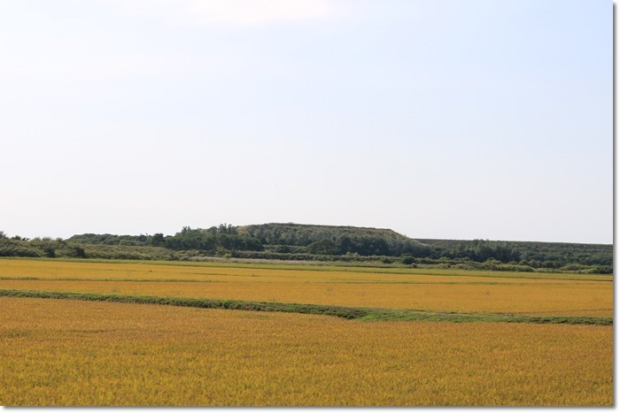 f0146493_20260840.jpg