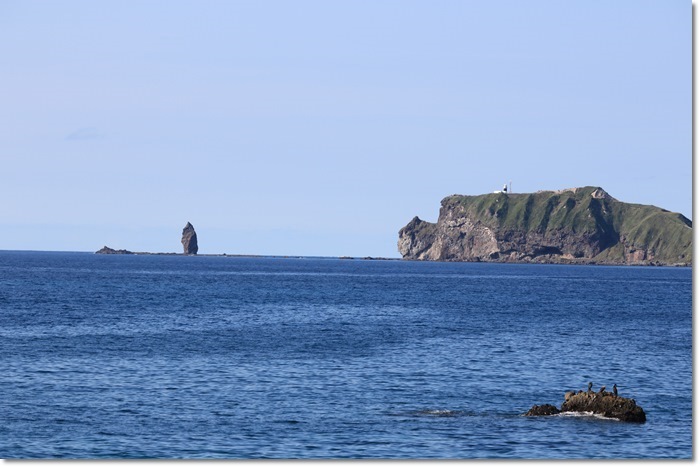 f0146493_20550866.jpg