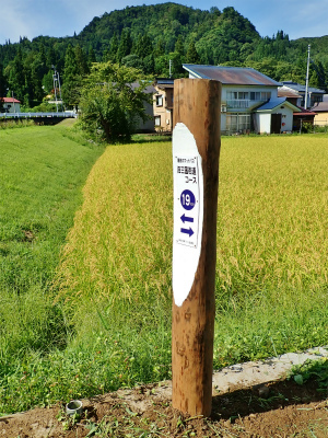 c0336902_19390874.jpg