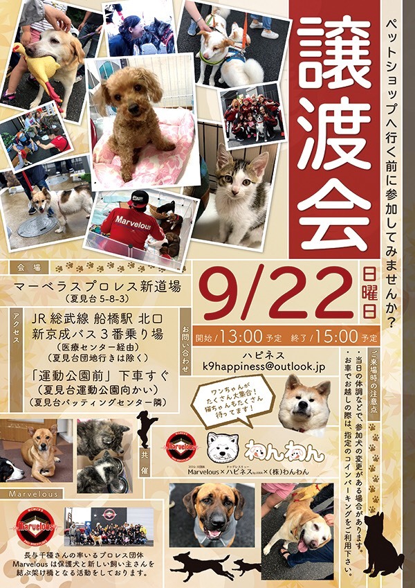 9月、10月の里親会のお知らせ_f0242002_14254231.jpg