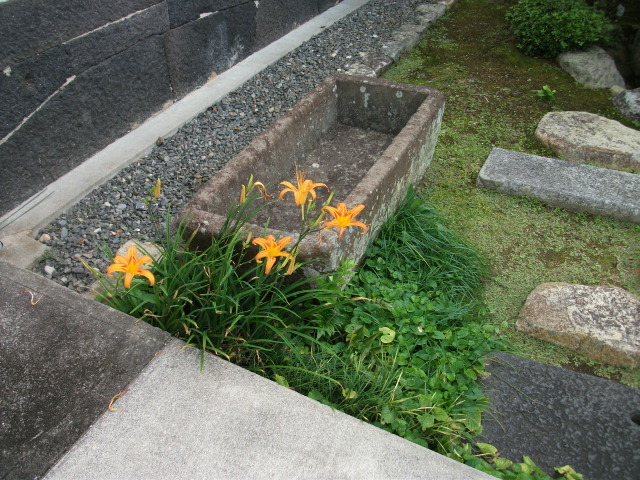 山梨県笛吹市の山梨食肉流通センターに搬入された・・・_c0192503_11351439.jpg