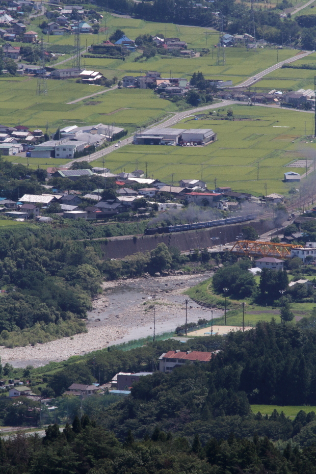 黄緑のじゅうたん　- 上越線・2016年 -_b0190710_22063450.jpg