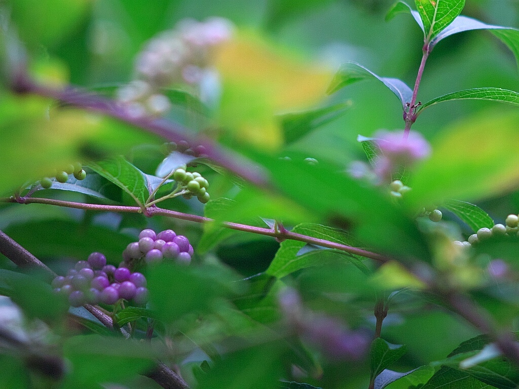 e0364711_22592882.jpg