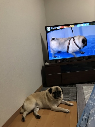 d0377714_09353432.jpeg