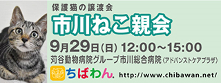 f0078320_16202161.png