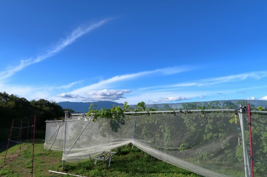 d0336530_18034149.jpg