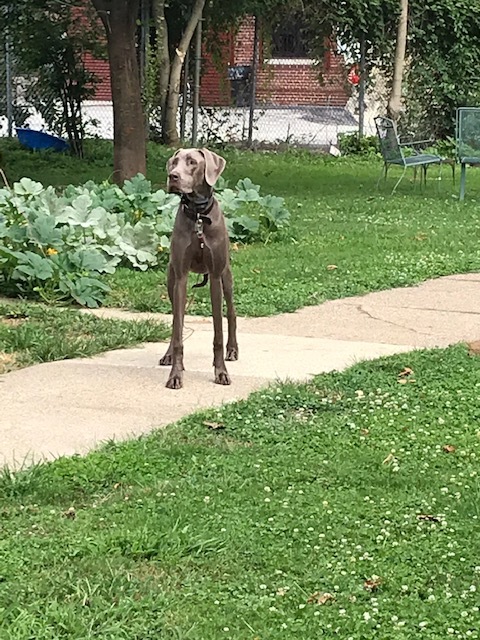 d0269832_20475307.jpeg
