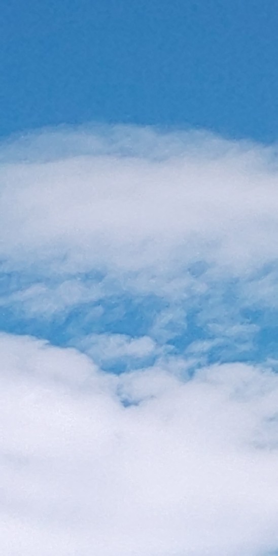 e0376933_22382104.jpg