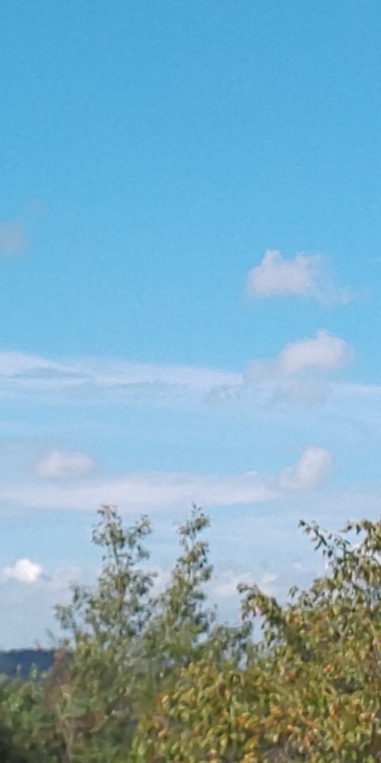 e0376933_22382245.jpg