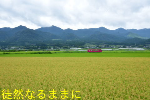d0285540_06244759.jpg