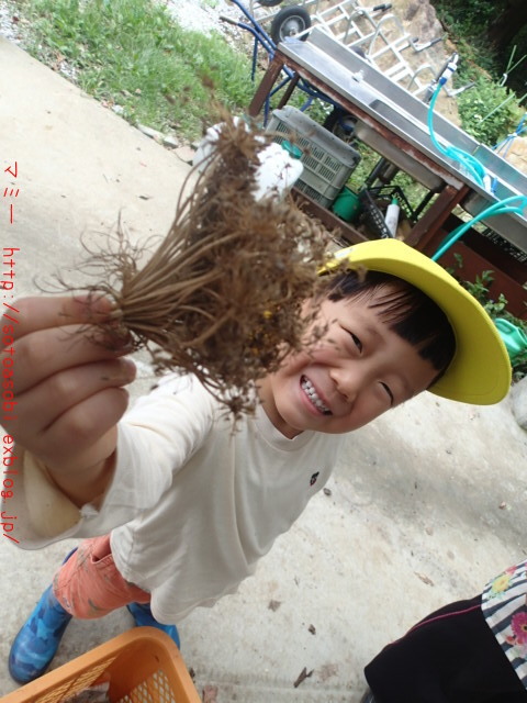 d0105749_17140640.jpg