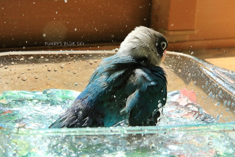 c0145250_16240659.jpg