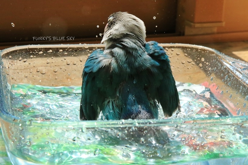 c0145250_16241875.jpg