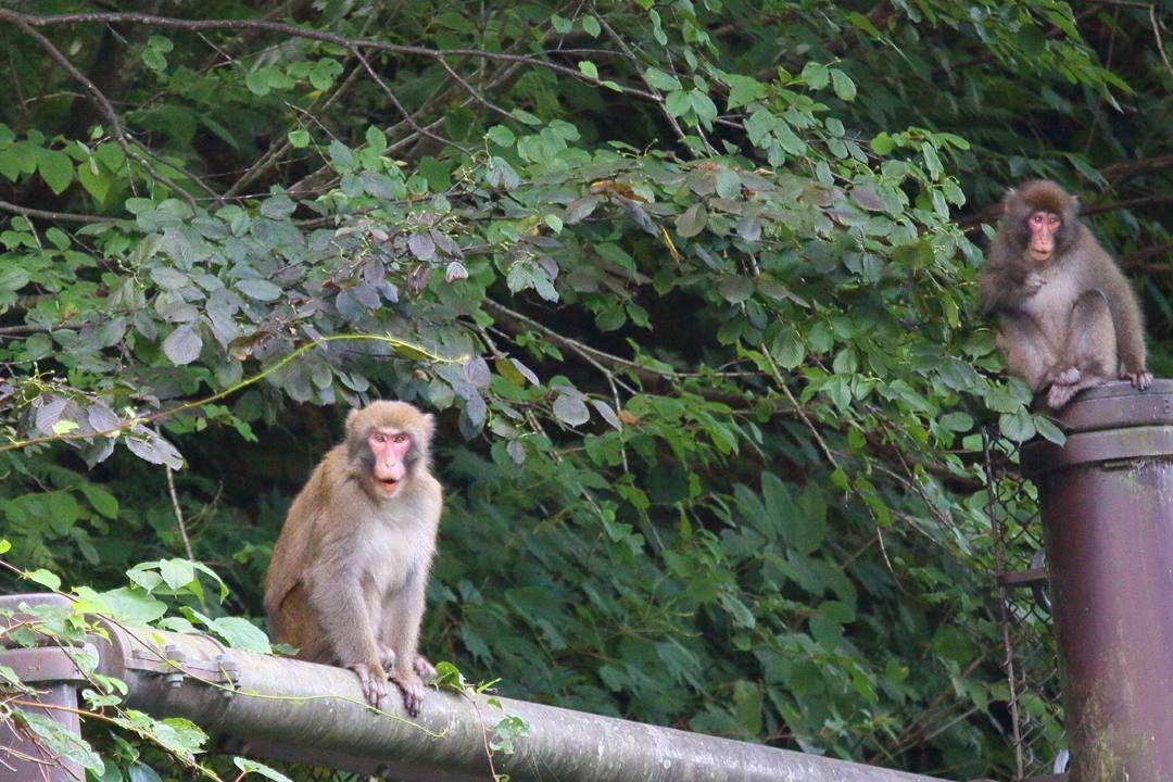 e0403850_22092140.jpg