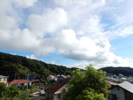 ’19,9,6(金)またまた真夏日に逆戻り!_f0060461_09273000.jpg