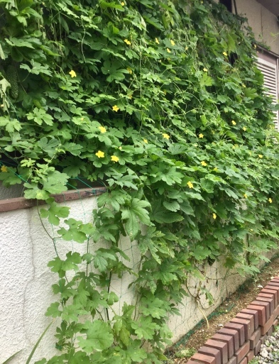 a0053063_12414528.jpeg