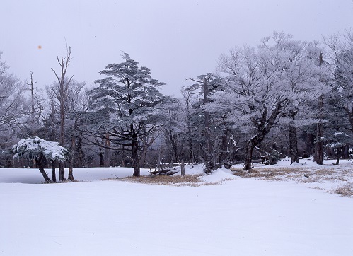 c0303868_14375661.jpg