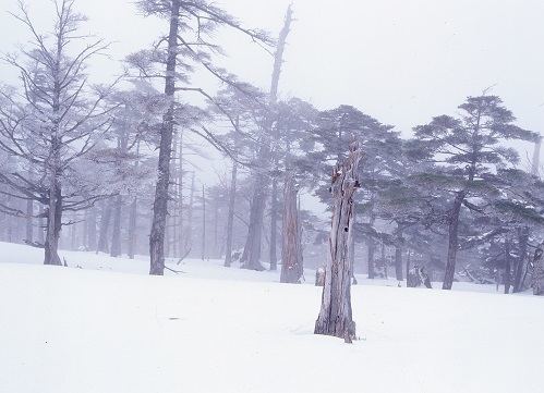 c0303868_14383690.jpg