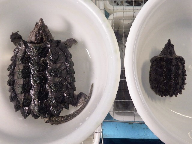 c0105569_02011045.jpg