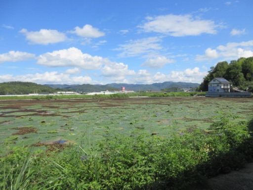 e0240973_13165465.jpg