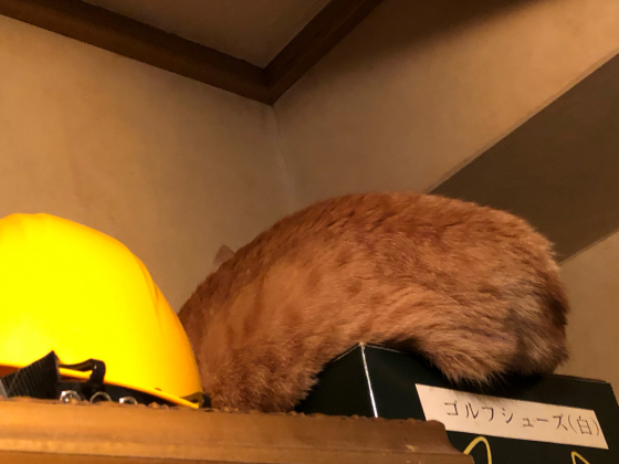 富良野・美瑛③_e0355177_15151547.jpg