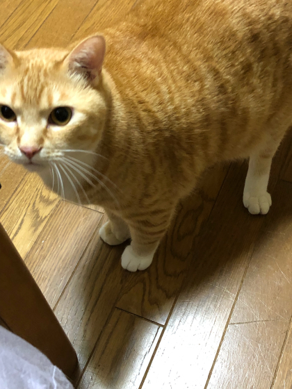 富良野・美瑛④_e0355177_15151640.jpg