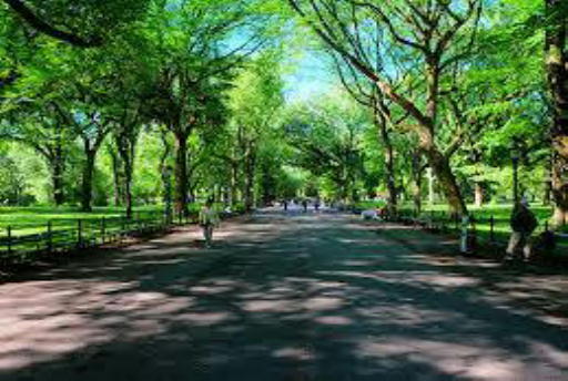 c0328479_10144300.jpg