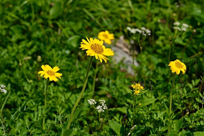 d0341880_07015284.jpg