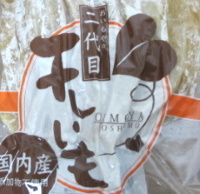 e0060483_20204818.jpg