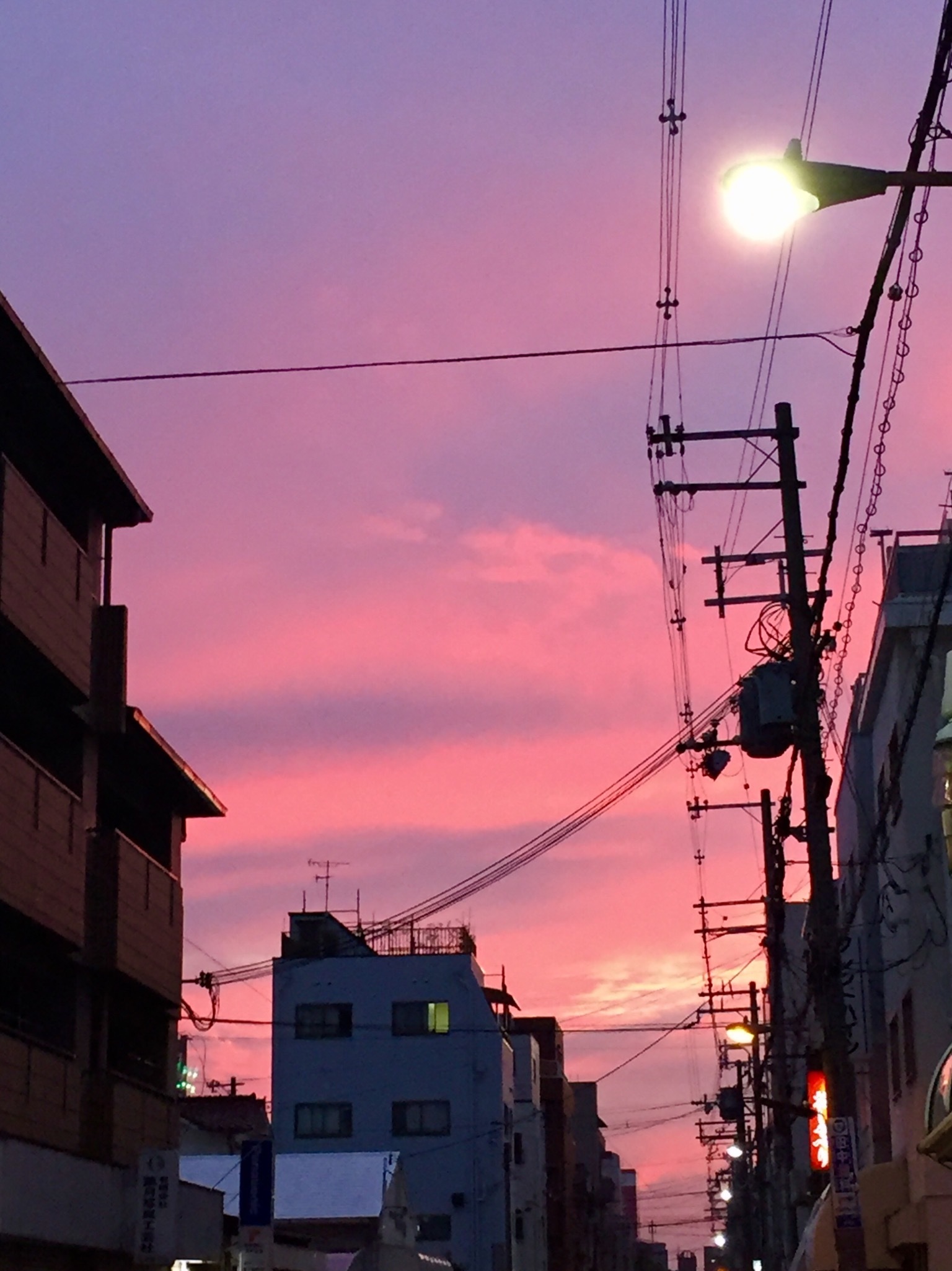a0258686_11474834.jpeg