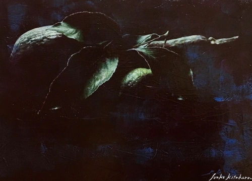 存在 ※255_b0132389_10144749.jpg