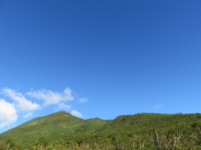 c0171889_1655074.jpg