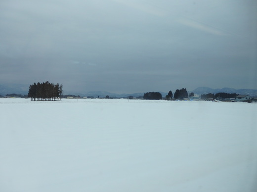 d0257690_14525013.jpg