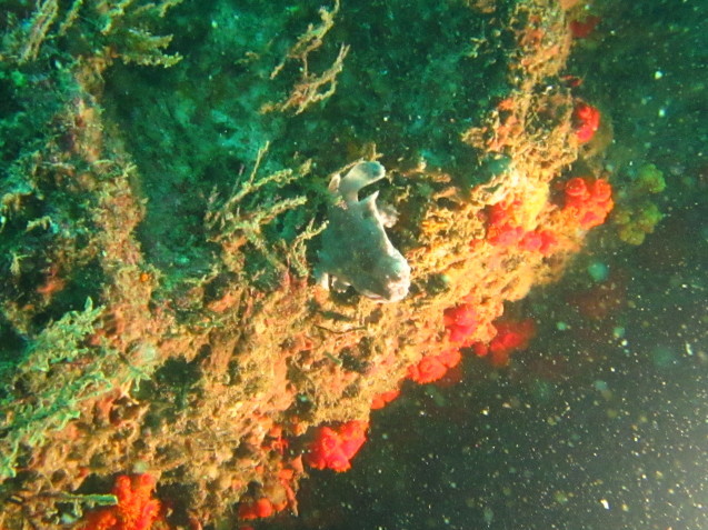 e0115199_16022219.jpg