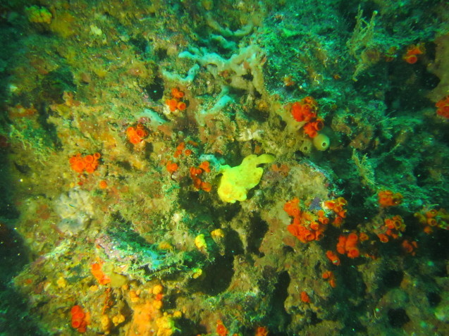 e0115199_16023815.jpg