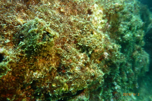 e0115199_16074916.jpg