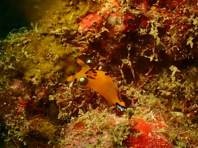 e0115199_16084339.jpg