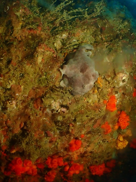 e0115199_16094672.jpg