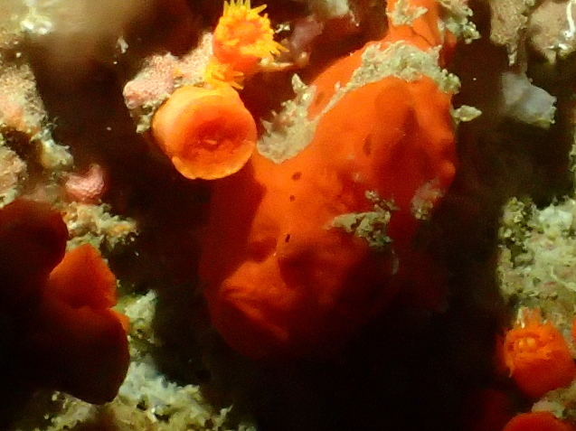 e0115199_16095911.jpg