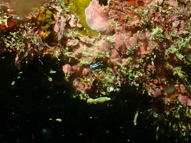 e0115199_16101193.jpg