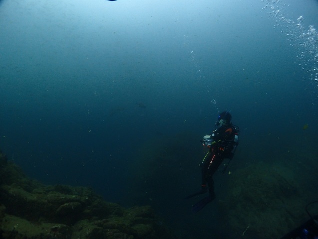 e0115199_18471148.jpg