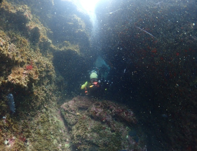 e0115199_18480789.jpg