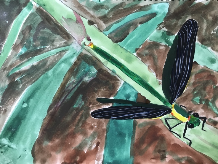 小学３年生のトンボの絵 東西線浦安駅徒歩２分の絵画教室 Atelier創 アトリエ ソウ のブログ