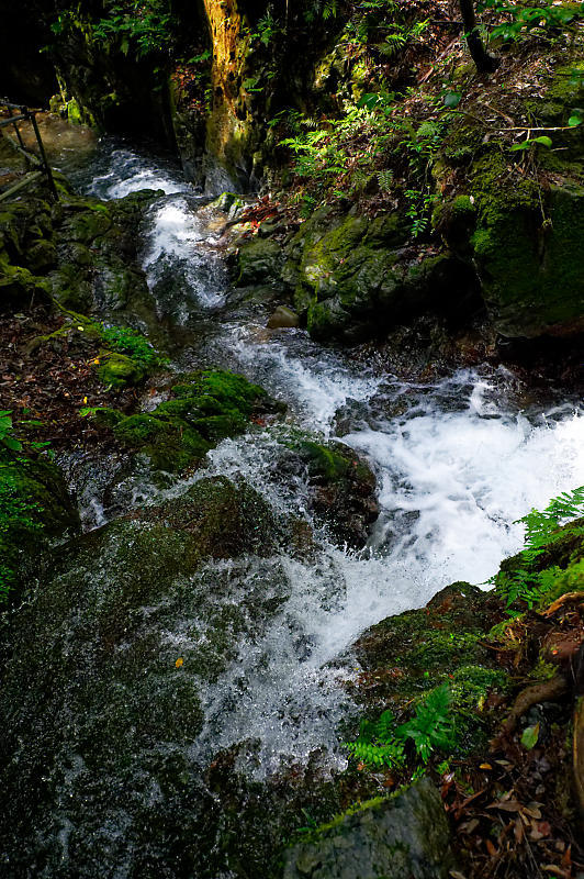f0032011_20091940.jpg