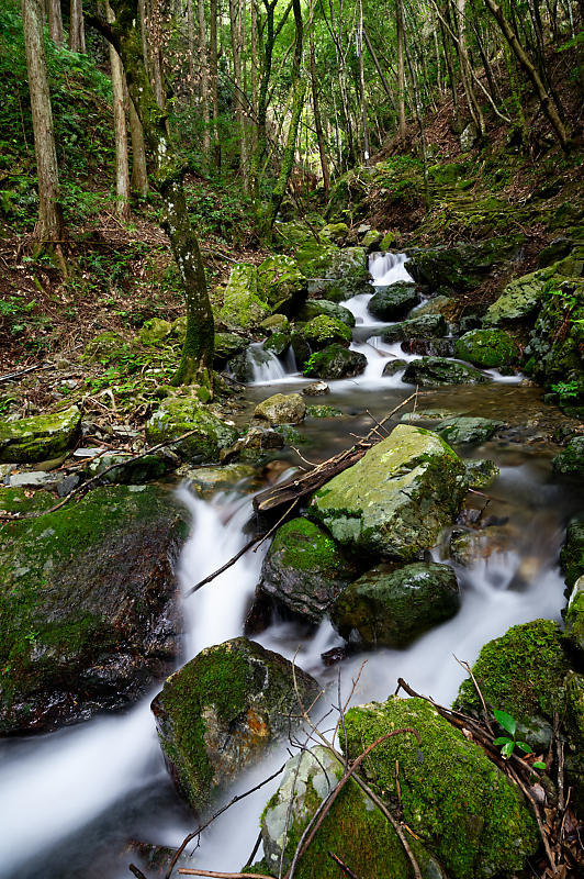 f0032011_20091978.jpg