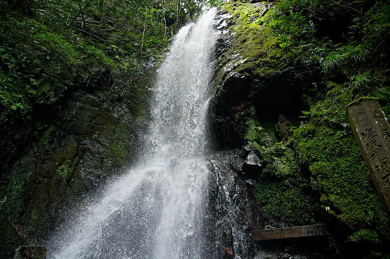 f0032011_20180401.jpg
