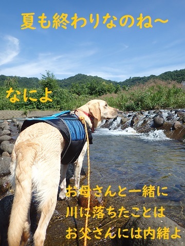 プーちゃんとお姉ちゃんの川遊び。_c0182012_14512951.jpg
